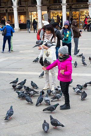 Venice-13