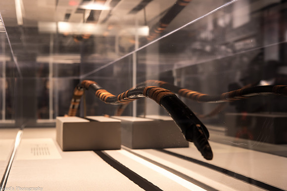HMNS Samurai-17