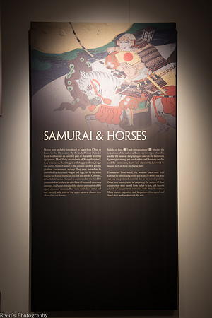 HMNS Samurai-12