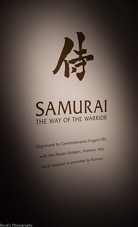 HMNS Samurai